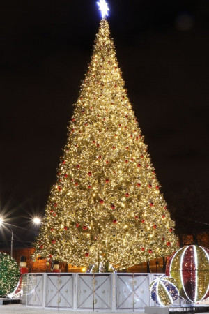 Уличная искусственная светодинамическая елка Альпийская зеленая 6 м., ствольная, ПВХ, Green Trees (GT6APVCLED)