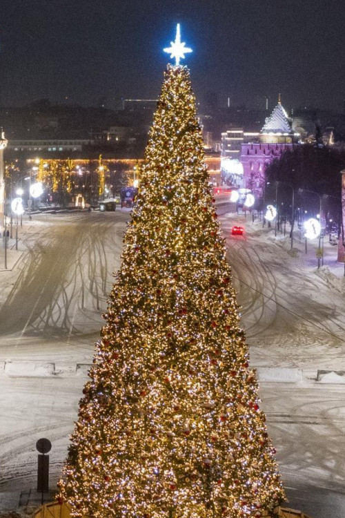 Уличная искусственная светодинамическая елка Альпийская зеленая 6 м., ствольная, ПВХ, Green Trees (GT6APVCLED)