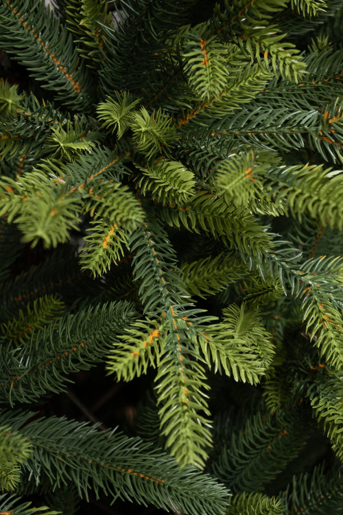 Искусственная елка Тибетская 180 см., 100% литая хвоя, ЕлкиТорг (58180)