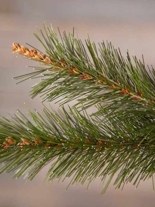 Елка Сказочная 185 см., леска+пвх, Triumph Tree (73535)