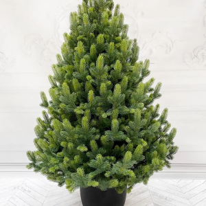 Ель Кремлевская 120 см. в кашпо, 100% литая хвоя, TreeDeLux (70188)
