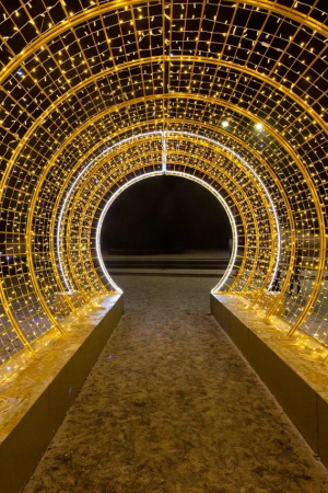 Светодиодный Тоннель 400 см. - 1 погонный метр , Сад Радости (SR209)