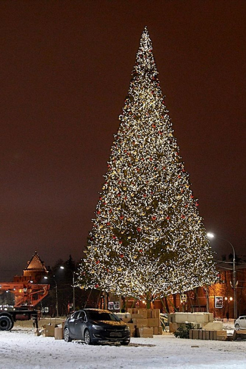 Уличная искусственная светодинамическая елка Альпийская зеленая 7 м., ствольная, ПВХ, Green Trees (GT7APVCLED)