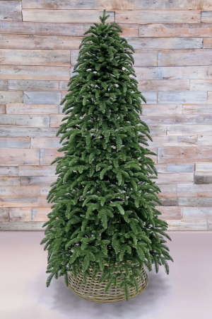 Елка Нормандия 215 см., темно зеленая, стройная, литая хвоя, Triumph Tree (72118)