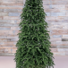 Елка Нормандия 215 см., темно зеленая, стройная, литая хвоя, Triumph Tree (72118)