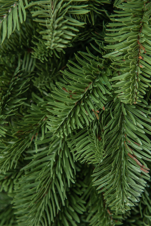 Искусственная елка Ренессанс 45 см., 100% литая хвоя, ЕлкиТорг (98045)