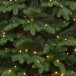 Искусственная елка Парижанка 300 см., 1030 теплых белых LED ламп, литая хвоя+ПВХ, ЕлкиТорг (138300)
