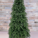 Елка Нормандия 230 см., темно зеленая, стройная, литая хвоя, Triumph Tree (72139)