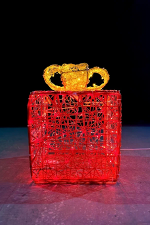 Светодиодная инсталляция Подарок 50 см., Сад Радости (SR311)