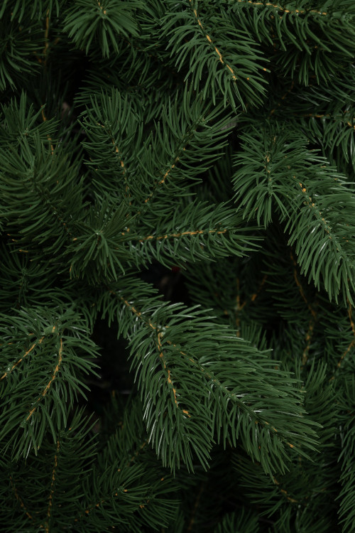 Искусственная елка Приозерская 270 см., теплые белее лампы, 100% литая хвоя, ЕлкиТорг (264270)