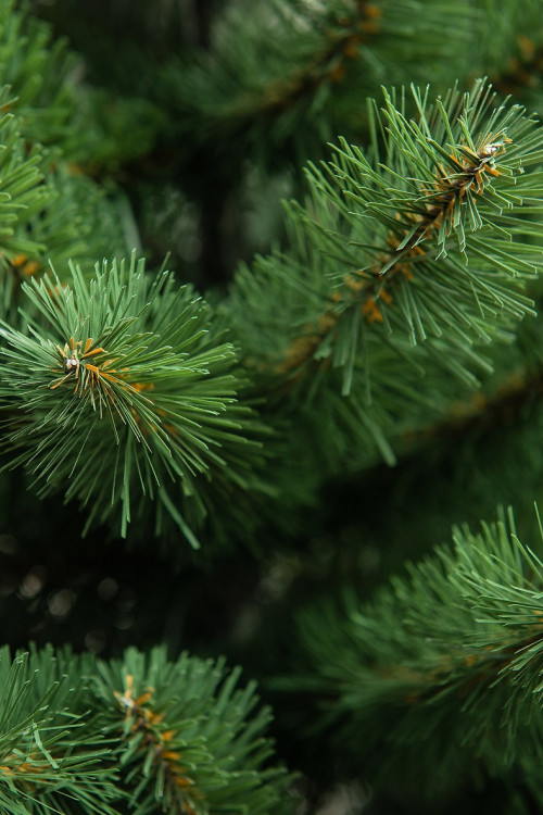 Искусственная елка Настенная 90 см., мягкая хвоя ПВХ, ЕлкиТорг (24090)