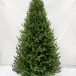 Ель Кремлевская Премиум 150 см., 100% литая хвоя, TreeDeLux (70135)