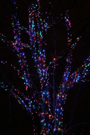 Комплект гирлянды на деревья 60 м., 3 луча по 20 м, 600 RGB ламп, прозрачный силикон, Beauty Led (KDD600-10-1RGB)