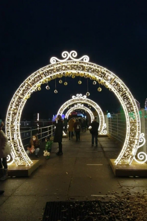 Светодиодная арка Круглая с вензелями 350 см. 1 шт., Сад Радости (SR215)