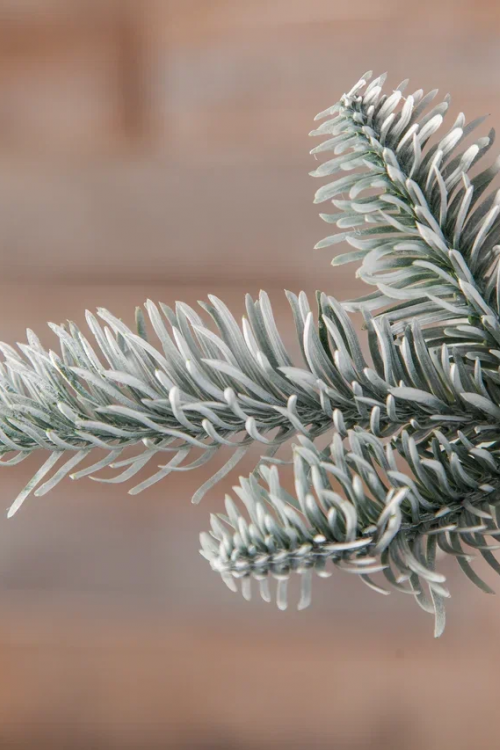 Елка Нормандия 215 см., заснеженная,100% литая хвоя, Triumph Tree(72116)