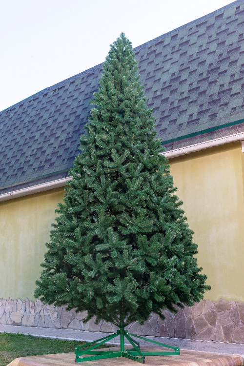 Искусственная сосна Афина PREMIUM 5.5 м., ствольная, уличная. ПВХ, ЕлкиТорг (59550)