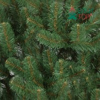 Искусственная сосна Афина PREMIUM 6.5 м., ствольная, уличная, ПВХ. ЕлкиТорг (59650)