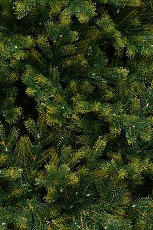 Искусственная елка Эрмитажная 150 см., теплых белых микро LED ламп, 100% литая хвоя, ЕлкиТорг (95150)