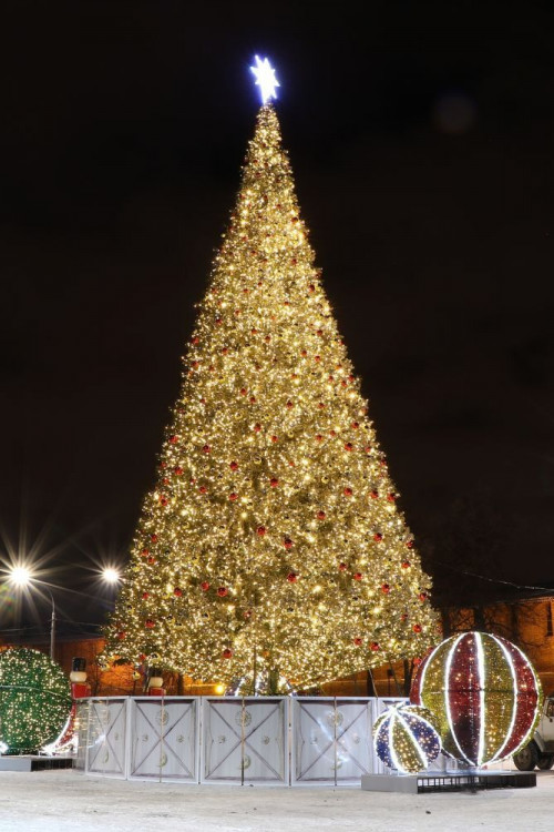 Уличная искусственная светодинамическая елка Альпийская зеленая 16 м., ствольная, ПВХ, Green Trees (GT16APVCLED) 