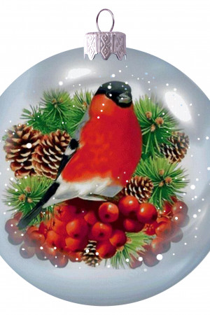 Медальон Снегирь 80 мм., в подарочной упаковке, Коломеев (КУ-80-224052)