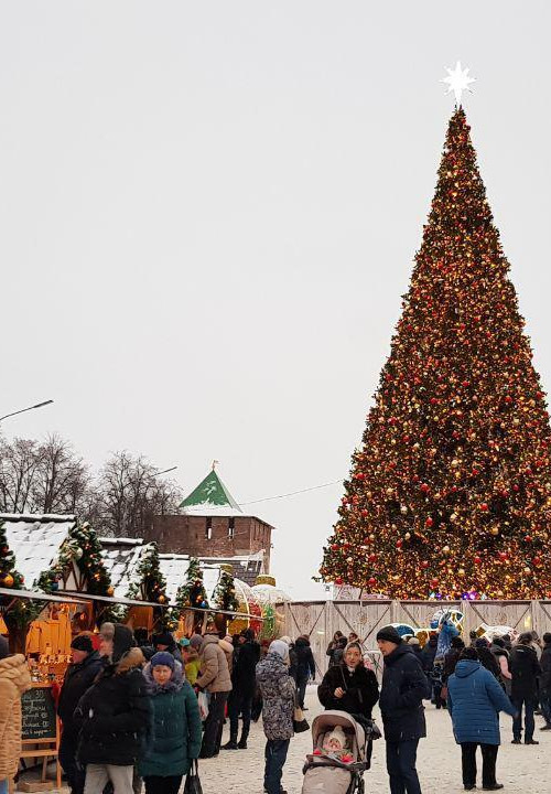 Уличная искусственная светодинамическая елка Альпийская зеленая 17 м., ствольная, ПВХ, Green Trees (GT17APVCLED) 