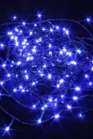 Светодиодная нить 13,5 м., 220V, 200 синих LED ламп, контроллер, черный провод, Winner Light (b.01.5B.200-)