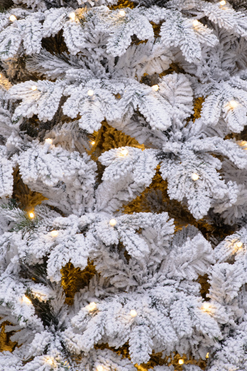 Искусственная елка Камчатская заснеженная 500 см., теплых белых Led ламп., литая хвоя+пвх, ЕлкиТорг (134500)