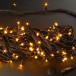 Светодиодная нить с контроллером 20 м., 220V, 200 желтых LED ламп, черный ПВХ провод, Rich LED (RL-T20C2-B/Y)