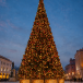 Уличная ствольная светодинамическая елка Альпийская Люкс 3 м., ПВХ, зеленая, ЕлкиТорг (304300)