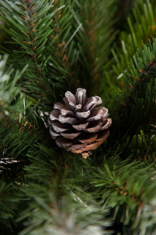 Елка Императрица заснеженная с шишками 60 см. в мешочке, мягкая хвоя, Triumph Tree (73701)