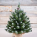 Елка Императрица заснеженная с шишками 60 см. в мешочке, мягкая хвоя, Triumph Tree (73701)