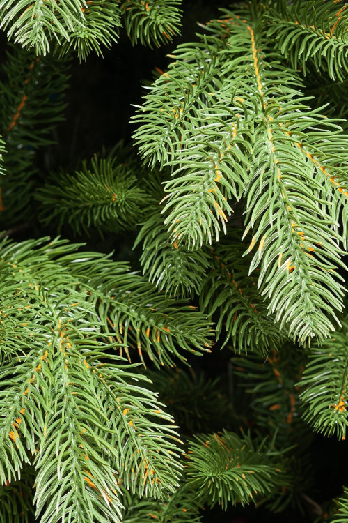 Искусственная елка Царская Де Люкс настенная 90 см., 100% Литая хвоя, ЕлкиТорг (125090)