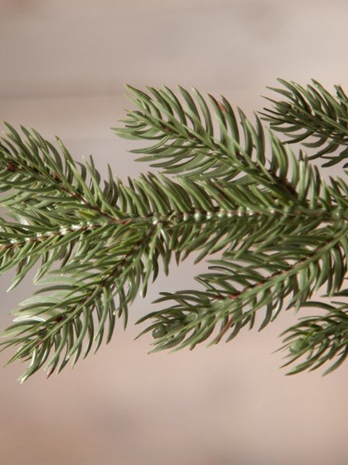 Елка Царская 155 см., литая хвоя+пвх, Triumph Tree (73639)