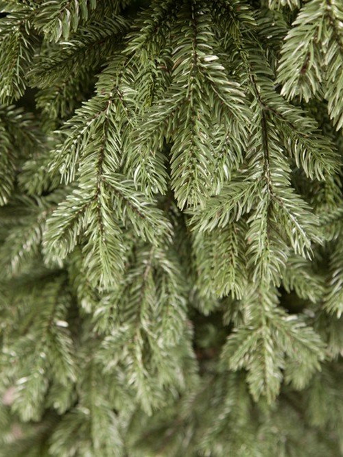 Елка Царская 155 см., литая хвоя+пвх, Triumph Tree (73639)