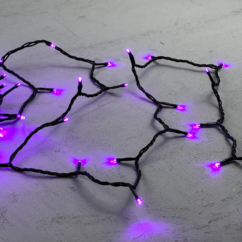 Светодиодная нить 100 пурпурных LED ламп, 10 м., 24В., черный провод ПВХ, Beauty Led (PST100-11-1PU)