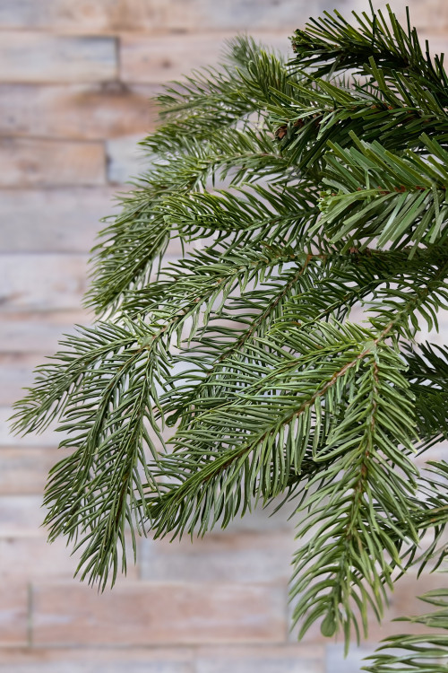 Ель Дворянская 230 см., Литая хвоя+ПВХ, Black Box (74553)