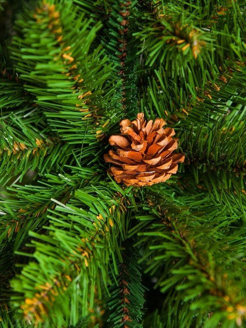 Елка Императрица с шишками 155 см., мягкая хвоя, Triumph Tree (73237)