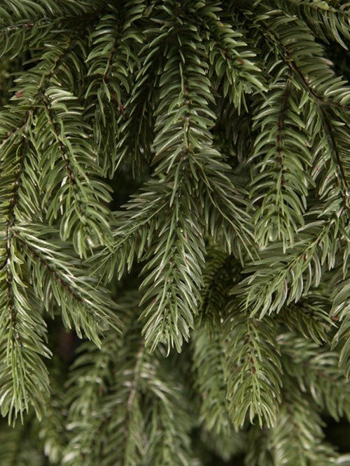 Елка Царская 215 см., литая хвоя+пвх, Triumph Tree (73641)