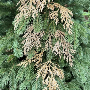 Ветвь Кипарис королевский шампань, 84 см., 1 шт., Christmas DeLuxe (86729) 