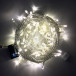 Светодиодная нить с мерцанием 10 м., 220V, 100 теплых белых LED ламп, прозрачный ПВХ провод, Rich LED (RL-S10CF-220V-T/WW)