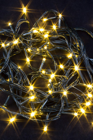 Светодиодная нить 6 м., 220V, 60 теплых белых LED ламп, контроллер, черный провод, Winner Light (ww.01.5B.60-)