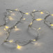 Светодиодная нить 100 шампань LED ламп, 10 м., 24В., прозрачный провод ПВХ, Beauty Led (PST100-10-1CH)