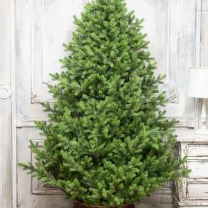 Искусственная елка Торжественная 180 см., 100% литая хвоя, ЕлкиТорг (167180)