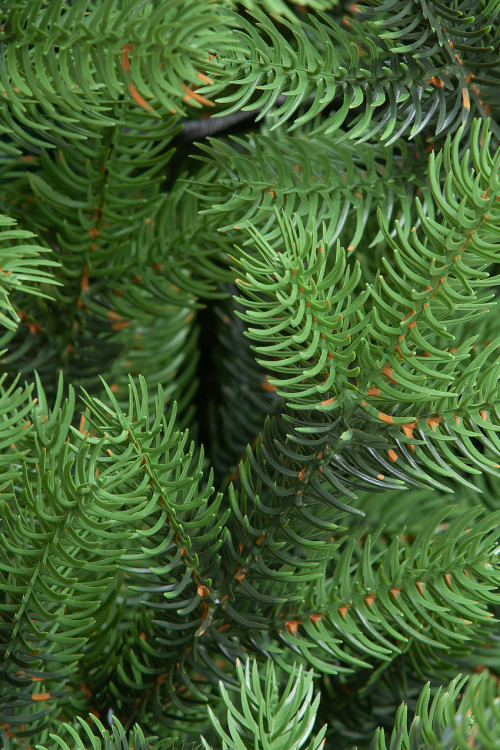 Искусственная елка Торжественная 180 см., 100% литая хвоя, ЕлкиТорг (167180)