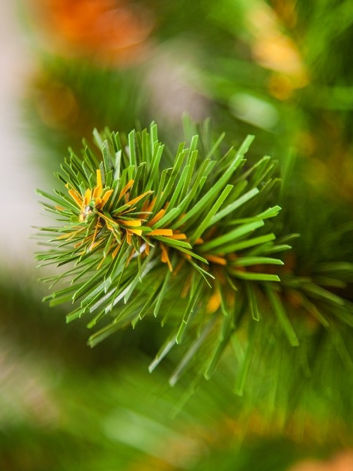 Елка Императрица с шишками 215 см., мягкая хвоя, Triumph Tree (73239)