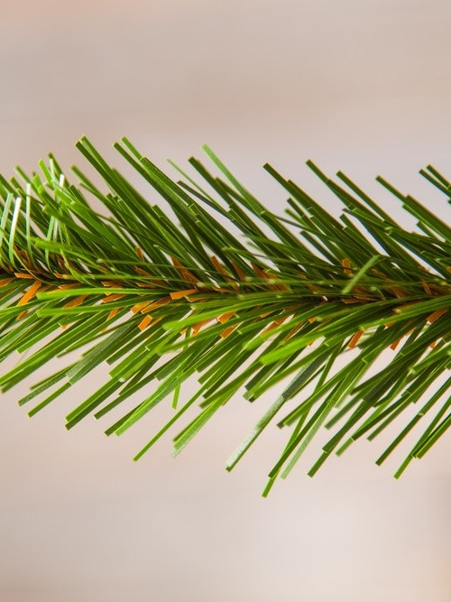 Елка Императрица с шишками 215 см., мягкая хвоя, Triumph Tree (73239)