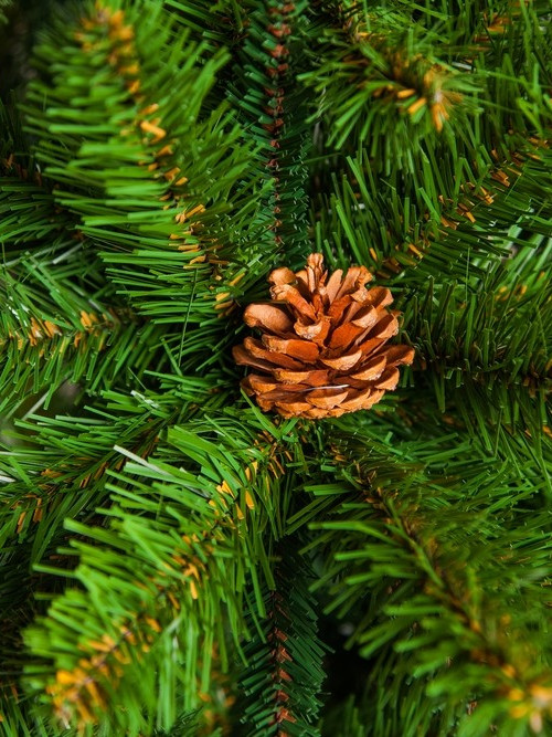 Елка Императрица с шишками 215 см., мягкая хвоя, Triumph Tree (73239)