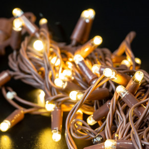 Светодиодная нить 100 теплых белых LED ламп, 10 м., 24В, статика, коричневый провод ПВХ, Teamprof (TPF-S10C-24V-CBz/WW)