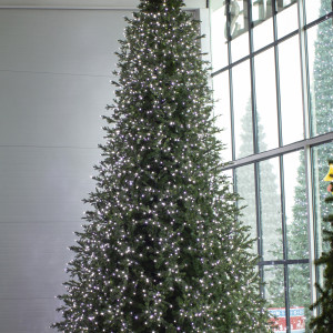 Интерьерная светодинамическая искусственная елка Сказочная Премиум 3,5 м., ствольная, Литая хвоя+ПВХ, Green Trees (GT3,5SKLED)