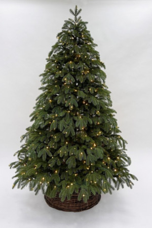 Ель Дворянская 230 см., 504 LED лампы, 100% Литая хвоя, Black Box (74563)